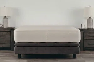 Accessory MattressProtector