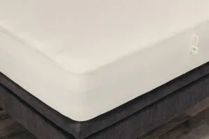Accessory MattressProtector 01