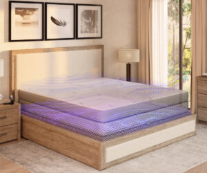 a 300 adjustable bed render