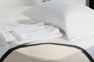 CCMOrganicSheets2