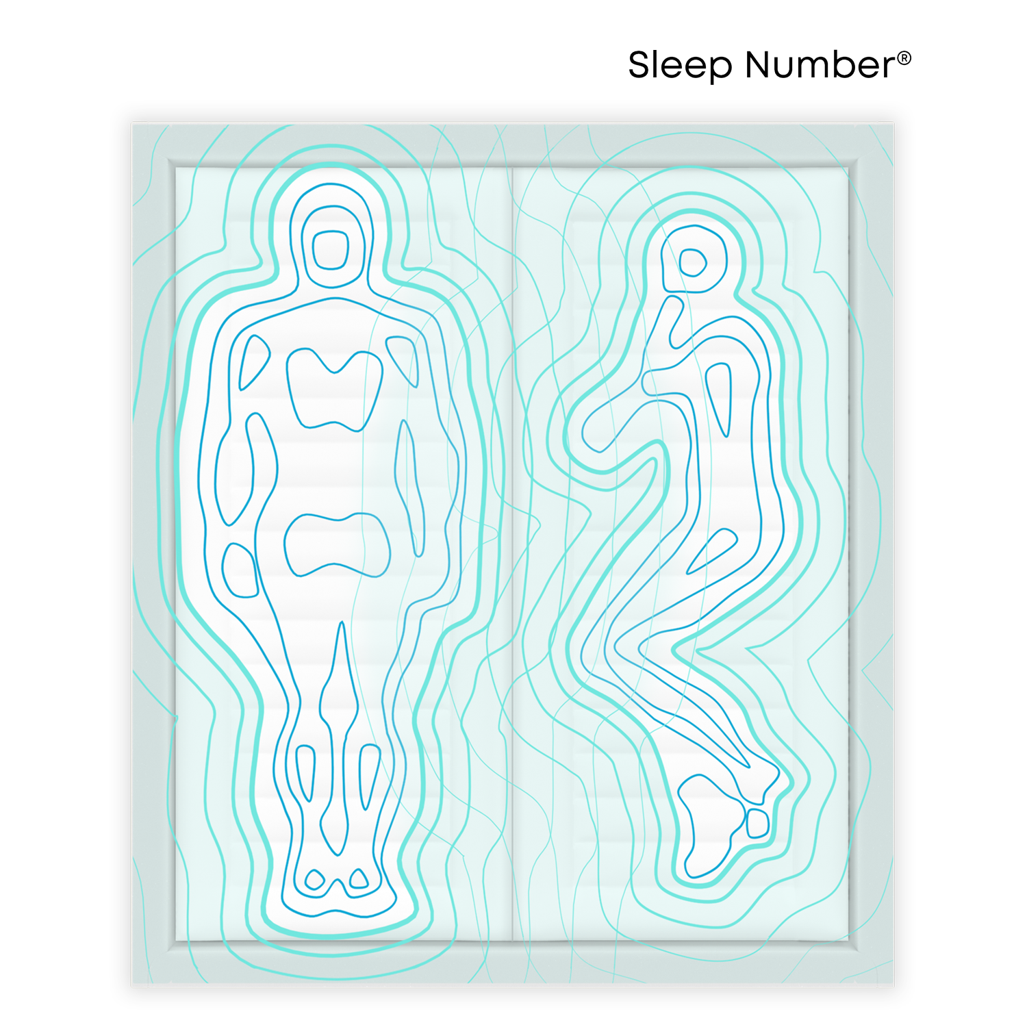 motion transfer airpedic 2