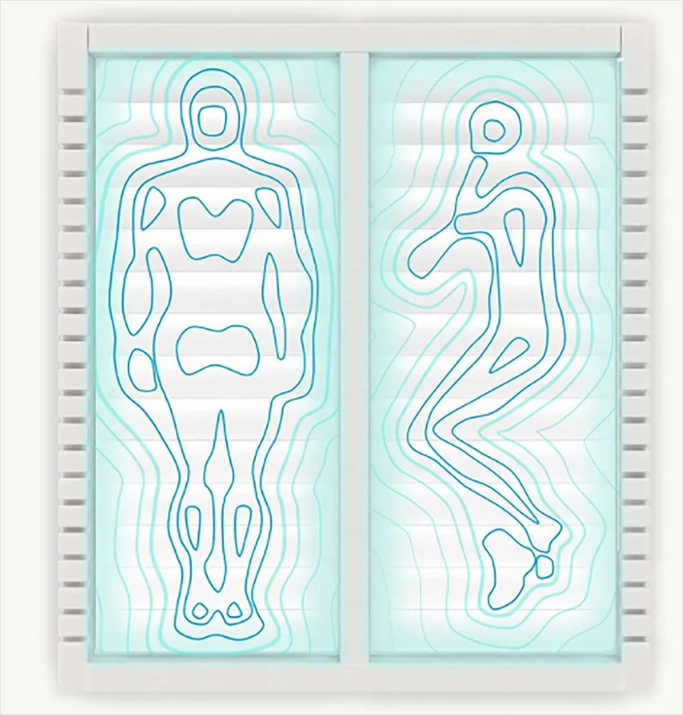motion transfer