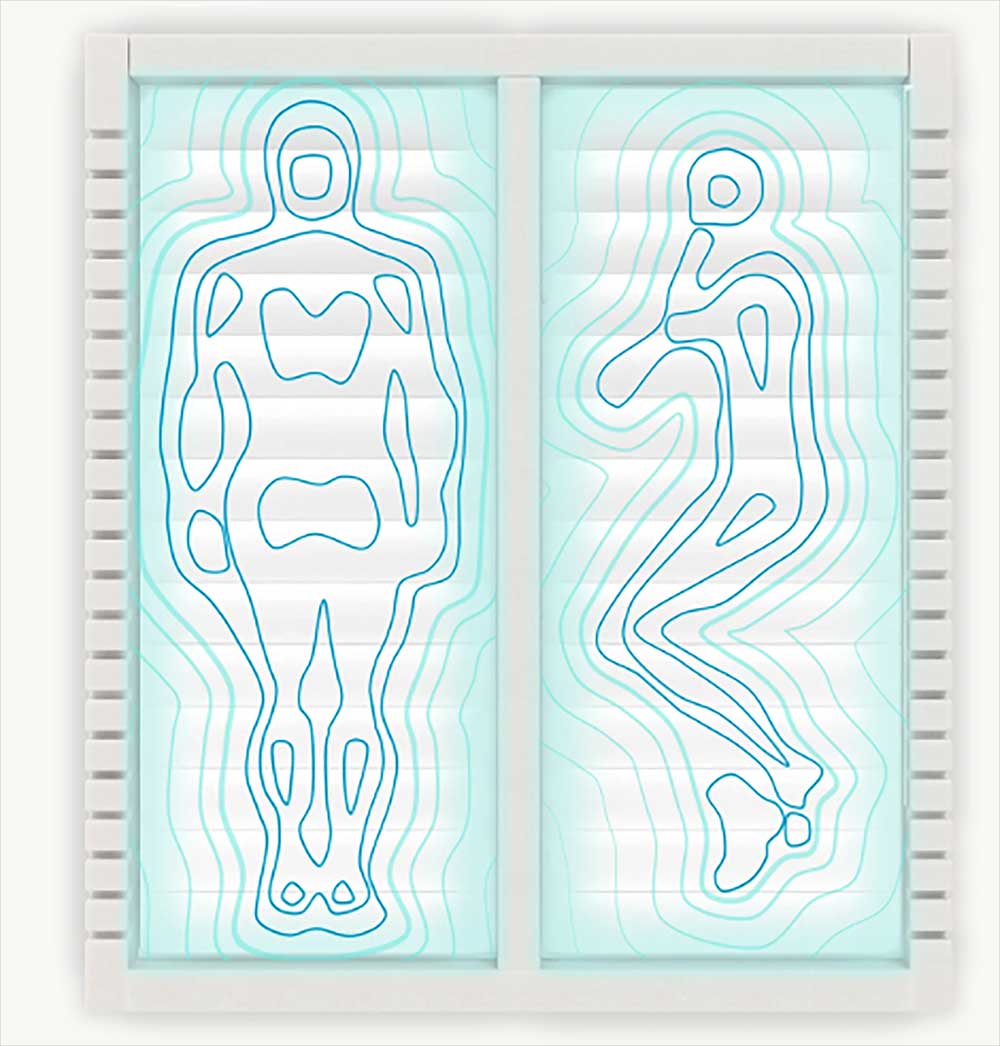 motion transfer
