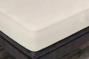 Accessory MattressProtector 01