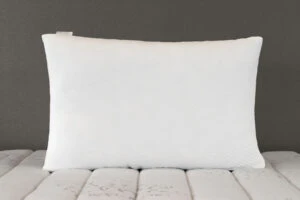 2023 09 29 14 47 35 Edit