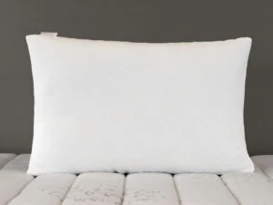 2023 09 29 14 47 35 Edit