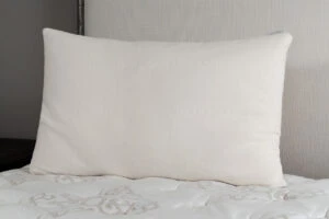 2023 09 29 15 19 12 Edit